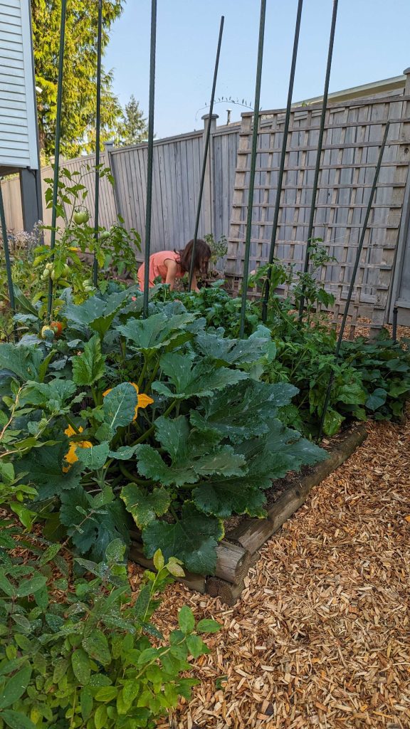 Adair harvesting veggies