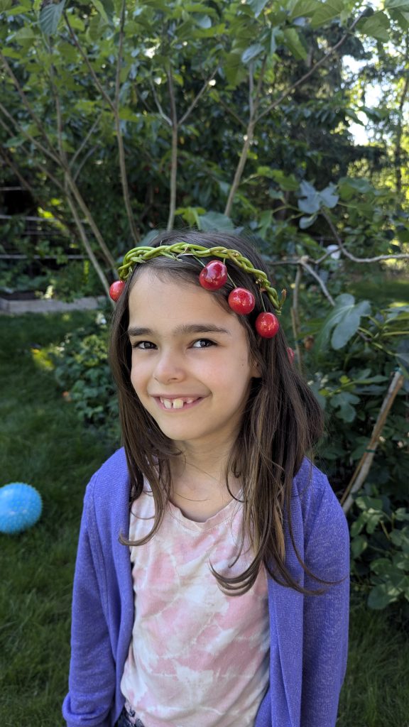 Adair's cherry crown