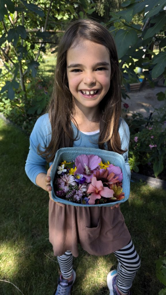 Flower harvest for pressed flowers