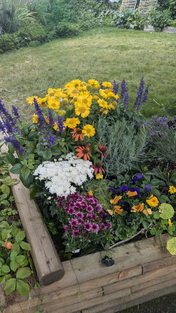 flowers for the garden
